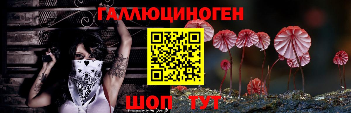 Галлюциногенные грибы мухоморы Алейск